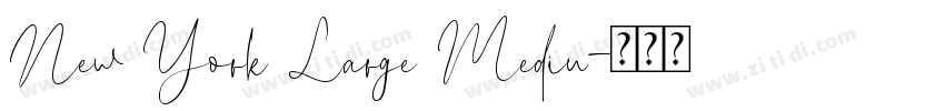 New York Large Mediu字体转换
